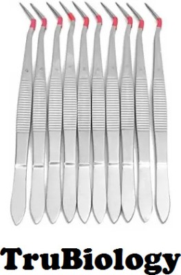 TRU BIOLOGY 10Pcs 6inch Stainless Steel Dental Tweezers Dental Elevator