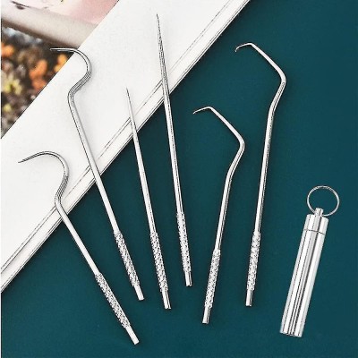 Alpyog Portable 7 in 1 Steel Tooth ick Dental Flosses Teeth Cleaning Pocket Tool Kit(10.5 cm, Pack of 7)