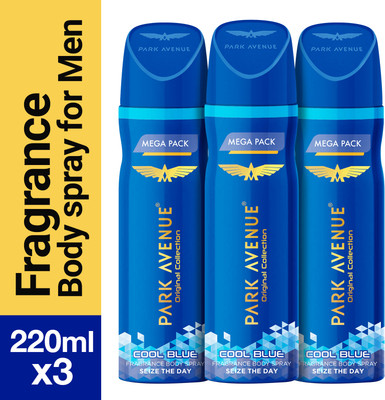 PARK AVENUE Original Collection Cool Blue Combo Deodorant Spray - For Men(660 ml, Pack of 3)