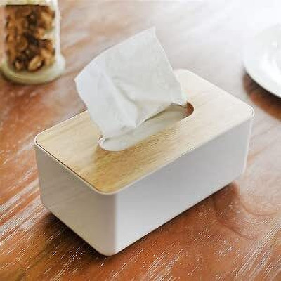 NPL ENTERPRISE 1 Compartments ABS Plastic Tissue Box Holder(White)