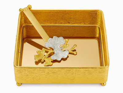 IndusBay 1 Compartments Metal Tissue Holder(Golden)