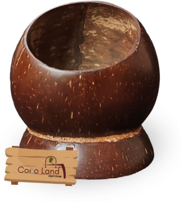 Coco Land 1 Compartments Coconut Shell Coconut Shell Pen Holder (Pack of 1) Desk Organizer /Pencil Holder /Knife Holder(Brown)