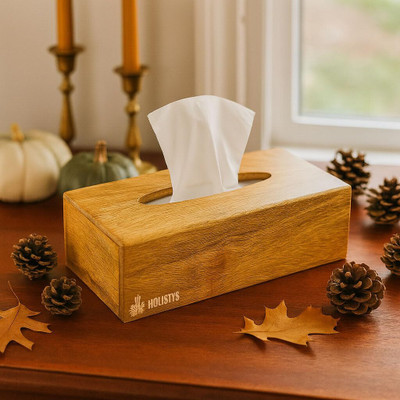 FORESTIS GALLINARIA 1 Compartments Mango Wood Tissue Box(Brown)