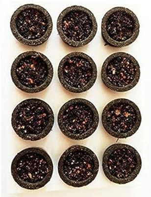 shiv sk SAMBRANI CUp | LOBAN | GUGGAL (Pack of 12 Guggul Dhoop(Pack of 12)