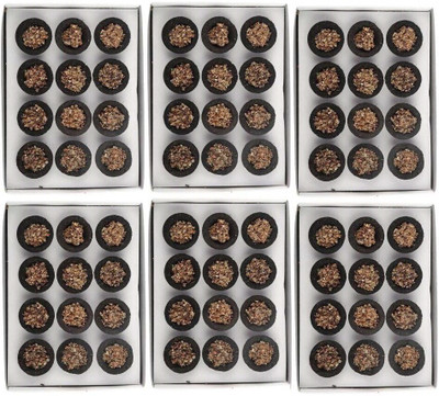 aviraj 72 Loban Pooja Cups l Puja Item l With Sambrani up Tray Combo Pack Guggul Dhoop(Pack of 6)