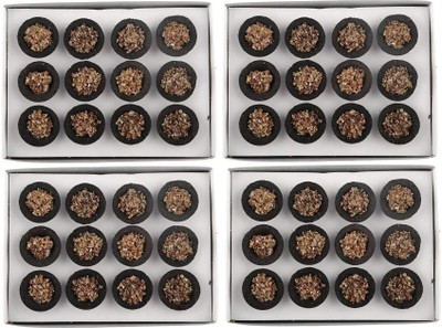 Shri Sidh BalaJi 48pcs Pure Natural Guggal and Sambrani Dhoop Cups Combo with Holder Plate Lily, Rose, Jasmine Dhoop(Pack of 4)