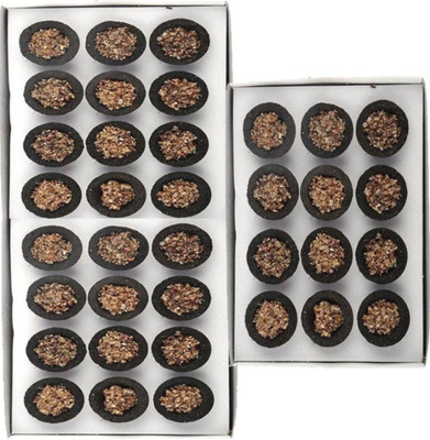 Shacollection Pack of 36 Guggal Luban | with Sambrani up tray pack Guggal Dhoops Guggul Dhoop(Pack of 3)