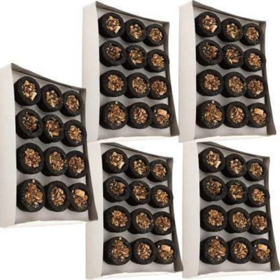 Shacollection Pack of 60 Guggal Luban | with Sambrani up tray pack Guggal Dhoops Guggul Dhoop(Pack of 60)