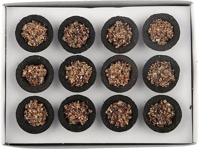 MKC 12 sambrani cup dhoop/buy original product from/MAA KRUPA CREATION Guggul Dhoop(Pack of 12)