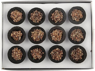 MKC 12 sambrani cup dhoop/buy original product from/MAA KRUPA CREATION Guggul Dhoop(Pack of 12)