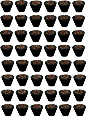 Airofine Fragrance Loban sambrani dhoop Cups Pack of 48 for pooja Guggul Dhoop(Pack of 48)