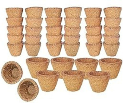 Triveni Desi Gir Cow Dung Empty Sambrani Cups for Pooja 60 Pieces Loban Dhoop(Pack of 60)