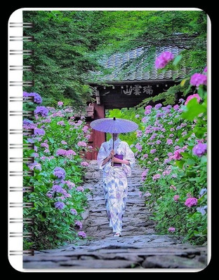 MAHADEVSHOP Notepad A4 Notebook Ruled 500 Pages(Multicolor)