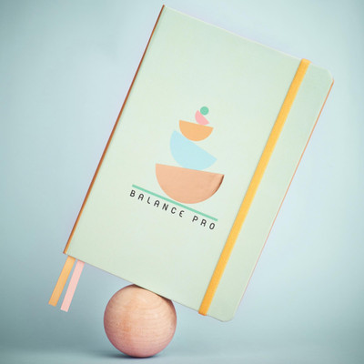 Doodle Undated Achieve Work Life Balance A5 Planner/Organizer Ruled 336 Pages(Balance Pro)