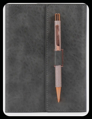 Family store Diary With Ball pen B5 Note Pad Ruled 160 Pages(Grey)