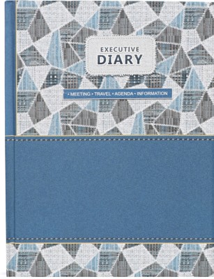 Toss 2024 B5 Diary YES 330 Pages(Multicolor)