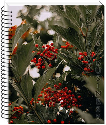 SHARMA BUSINESS Multipurpose Spiral Notebook A4 Size 200 Pages Unruled White Set of 1 A4 Note Book Unruled 200 Pages(Multicolor)