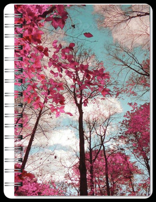 Family store Spriral pad Regular Notebook Single Ruler 500 Pages(Multicolor)