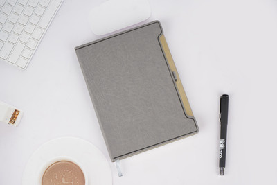 Diaro Premium PU Leather Diary with Stylish Gold Trim, Pen Holder & Ribbon Bookmark A5 Notebook Ruled 208 Pages(Grey)