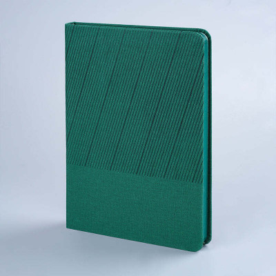 PaperPassion Elite Notes Slanted Lines Regular Notebook Ruled 240 Pages(Green)