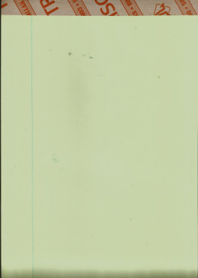 WEI NOTE SHEET FS SIZE Assorted Note Pad SINGLE RULED 160 Pages(Green, Pack of 2)