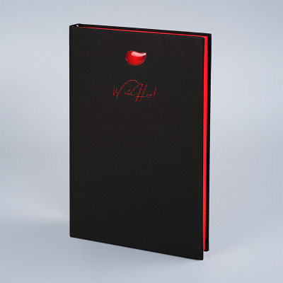 PaperPassion Muse Notes Bubble Regular Notebook Ruled 240 Pages(Red)