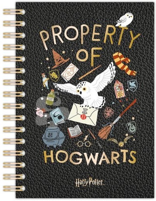 craft maniacs HARRY NOTEBOOK A5 Notebook RULED 120 Pages(Black)