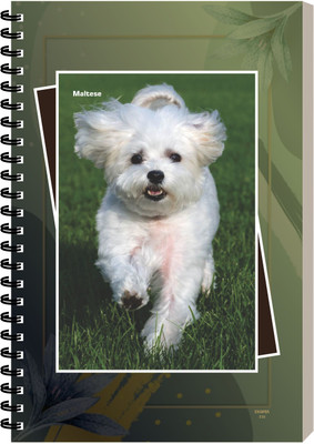 ESCAPER Maltese Dog Diary, Notebook Ideal Gift for Boys & Professionals A5 Diary Ruled 160 Pages(Maltese)