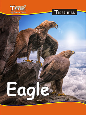 TigerHill A4 NOTE BOOK UNRULED | SOFT AND THICK PAGES | A4 Notebook Unruled 140 Pages(Unruled, Pack of 8)