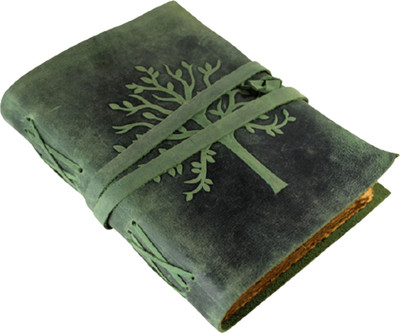 Camlon Export NA Regular Diary Ruling 240 Pages(Green)