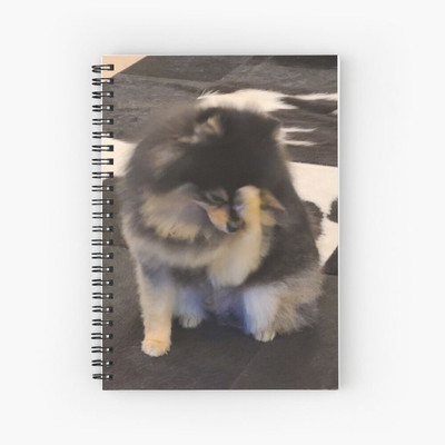 craft maniacs BTS V DIARY A5 Diary RULED 160 Pages(Multicolor)