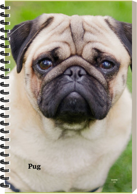 ESCAPER Pug Dog Diary, Personal Journal for Kids, Spiral Notebook, Notepad A5 Diary Ruled 160 Pages(Pug)