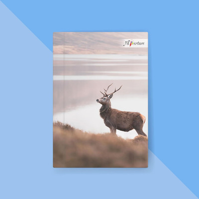 Aperture National Park-Themed A5 Notebook Deer Illustration for Writing & Sketching A5 Diary Lonely Deer 160 Pages(Brown)