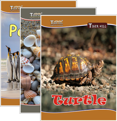 TigerHill A4 NOTE BOOK RULED | SOFT AND THICK PAGES | A4 Notebook Single Line 172 Pages(Ruled, Pack of 3)