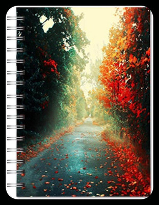 Family store Notepad A4 Notebook Unruled 450 Pages(Multicolor)