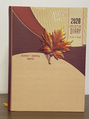 Anicca Premium Planner Meeting Agenda Sunday Separate Hard Bound Journal New Year 2026 B5 Diary Ruled 365 Pages(Multicolor)