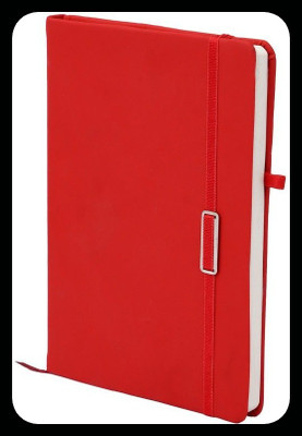 Family store Diary A5 Notebook Ruled 200 Pages(Red)