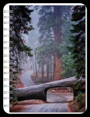 Family store spiral Pad Regular Notebook single Rule 300 Pages(Multicolor)