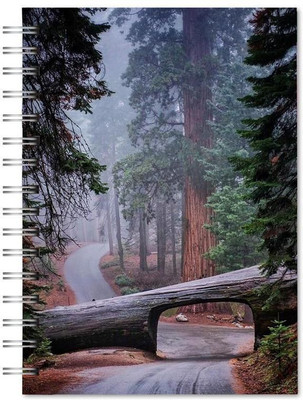 Family store spiral Pad Regular Notebook single Rule 300 Pages(Multicolor)