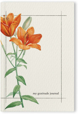 ITSY Bitsy Wellness Journal A6 Journal ruled 176 Pages(Multicolor)
