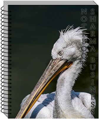 SHARMA BUSINESS Big A4 Spiral Unruled Notebook, 75 GSM Paper, Set of 1(Pelican Bird) A4 Notebook Unruled 200 Pages(White)