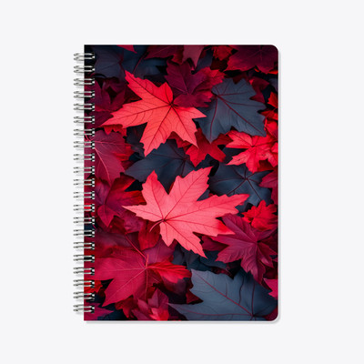 Bhamra Trader Spiral Diary Wiro A5 Diary Ruled 140 Pages(Multicolor)