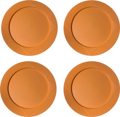 TUPPERWARE BIODEGRABLE ARECA PLATE 12-inch Rice Plates(Pack of 25)