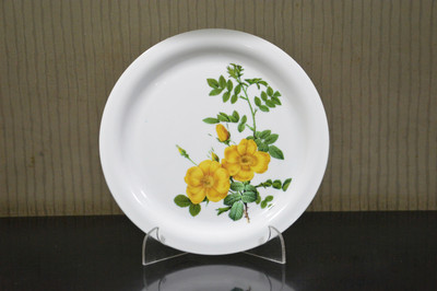 swift international Pack of 6 Plastic Design24 Dinner Set(Multicolor)