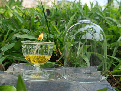 Sai Akhand Glass Diya with Handi and Plate (medium) Set | Borosilicate Glass Table Diya Set(Height: 4 inch)