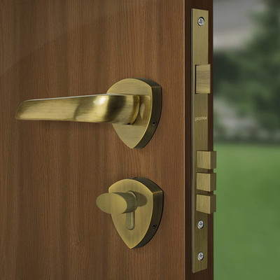Plantex Brass Matte Handlesets(Gold)