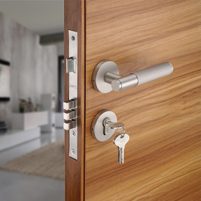 LAPO Brass Matte Handlesets(Silver)