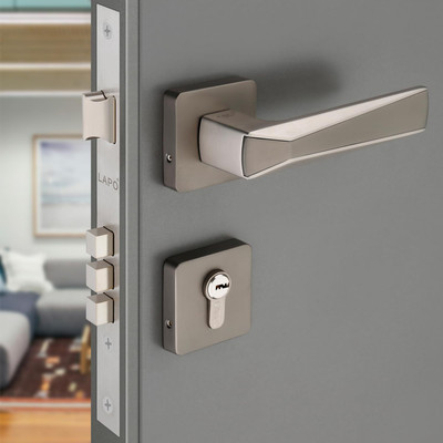 LAPO Zinc Alloy, Brass Matte Handlesets(Silver)