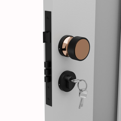 Medellin Brass, Zinc Alloy Matte, Polished Door levers(Black, Pink)