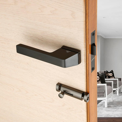 LAPO Brass, Zinc Alloy Matte Handlesets(Black)